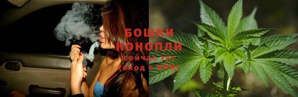 тгк Саяногорск