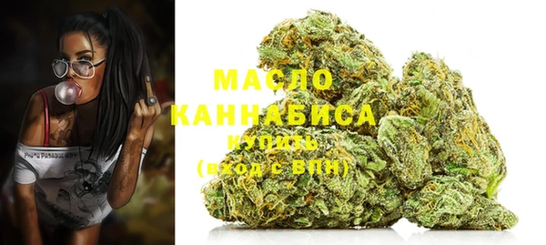 шишки Белокуриха