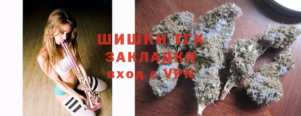шишки Белокуриха