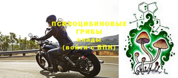 эйфоретик Богородск