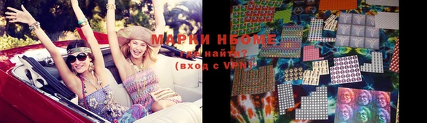 шишки Белокуриха