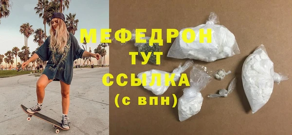 индика Бородино